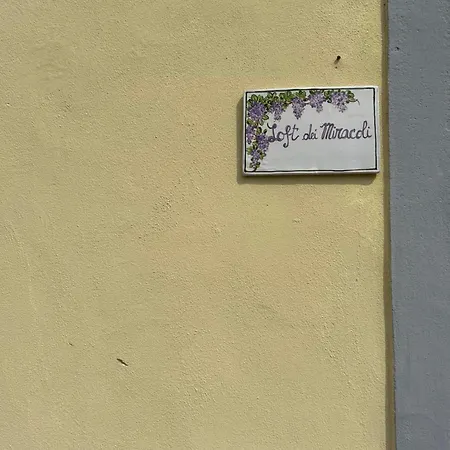 Loft Dei Miracoli 公寓 比萨