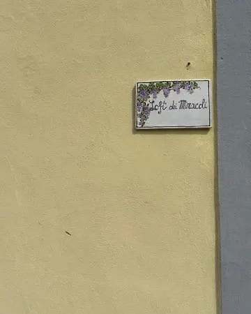 Loft Dei Miracoli 公寓 *